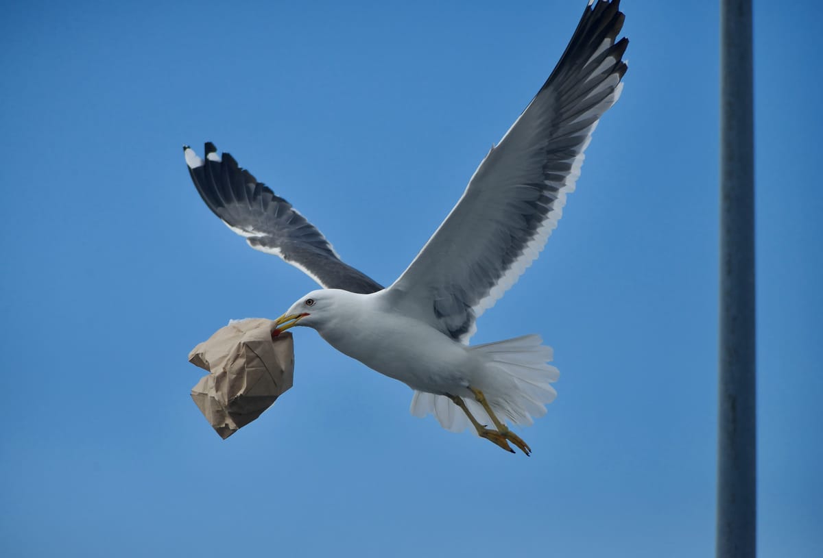 Chronologie d’un vol de données réel : une analyse DFIR